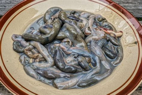 10 Weird Filipino Dishes That Might Scare .